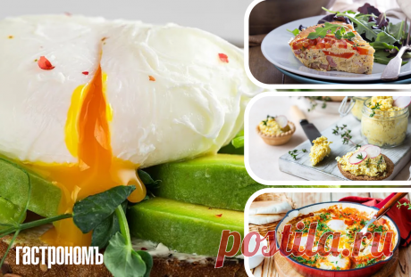 8 блюд из яиц, о которых мы забываем, а зря | ГАСТРОНОМ.РУ | Дзен