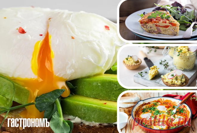 8 блюд из яиц, о которых мы забываем, а зря | ГАСТРОНОМ.РУ | Дзен