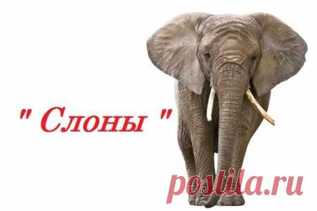 Вышивка крестом. Только цветные схемы! | ВКонтакте