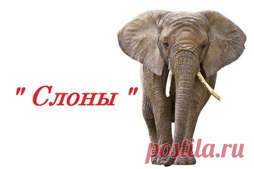 Вышивка крестом. Только цветные схемы! | ВКонтакте