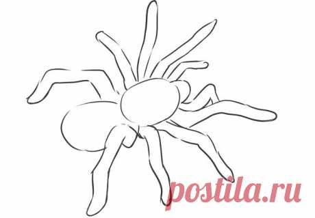 Поделка — паук своими руками для начинающих. Как сделать паука из пластилина, бумаги, оригами, бисера, резинок, фольги, мастики, ниток, ткани, картона: схемы, фото