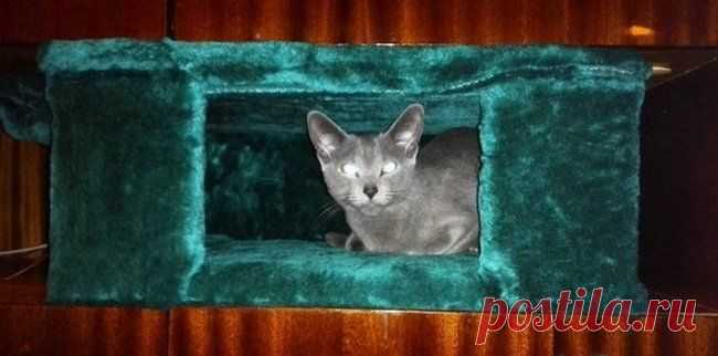 Дом для кошки с обогревом