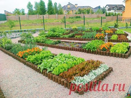 ПОЛНОЕ СОБРАНИЕ ДАЧНЫХ ХИТРОСТЕЙ ДЛЯ САДОВОДОВ И ОГОРОДНИКОВ
Сохраните, чтобы не потерять!