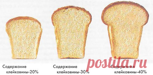 Клейковина пшеничной муки.