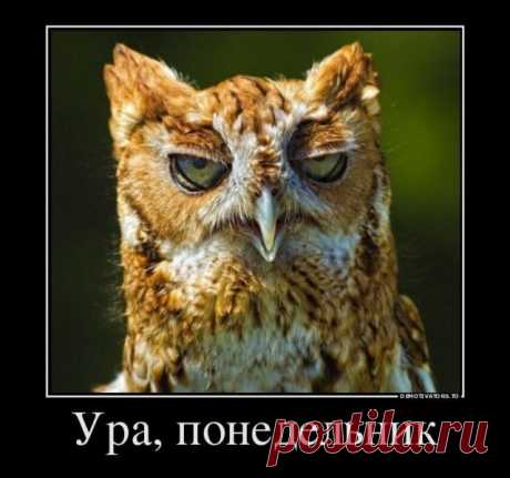 Понравилось))) Юмор.