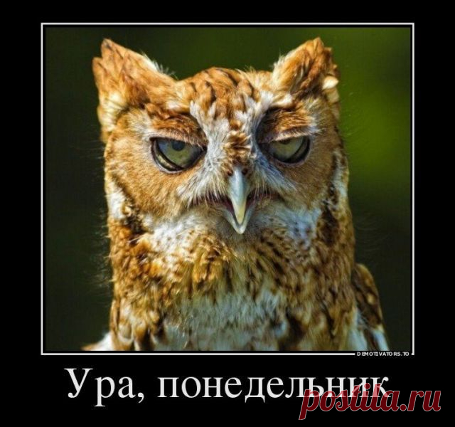 Понравилось))) Юмор.