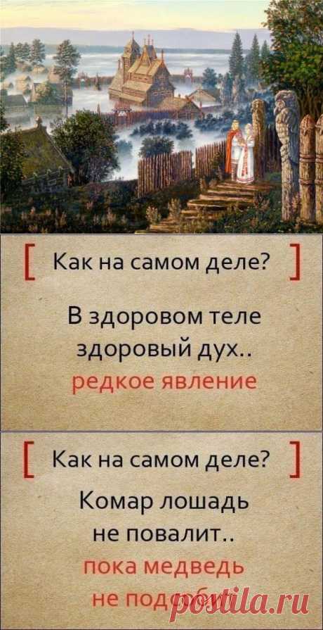 Известные поговорки и их полный вариант