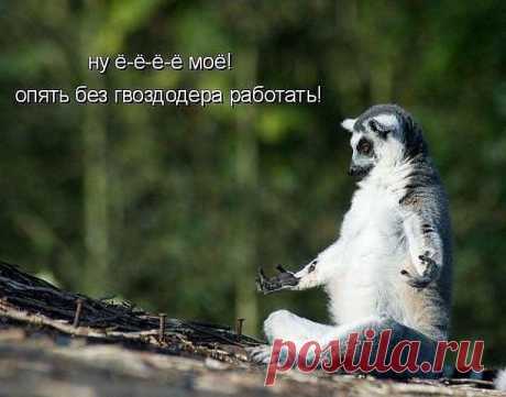 Не порядок.!?