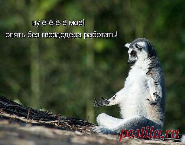 Не порядок.!?