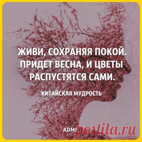 AdMe.ru - Фото Хроники