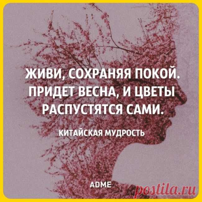 AdMe.ru - Фото Хроники