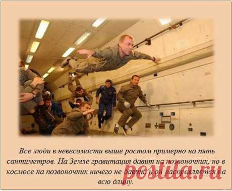 джозеф фиглок - Поиск в Google