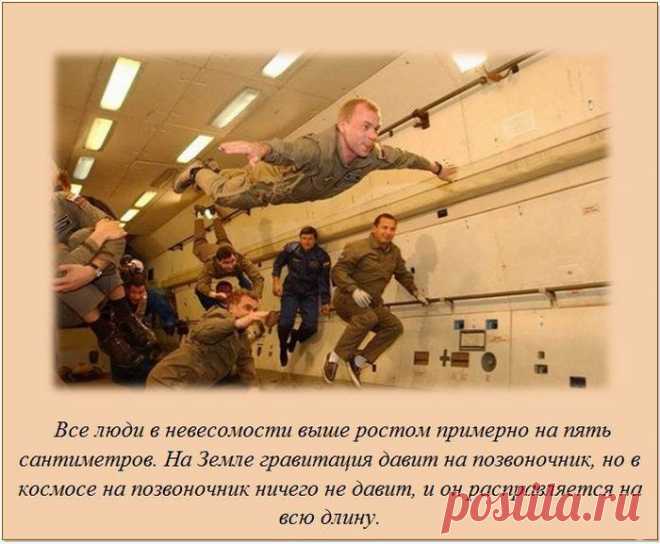 джозеф фиглок - Поиск в Google