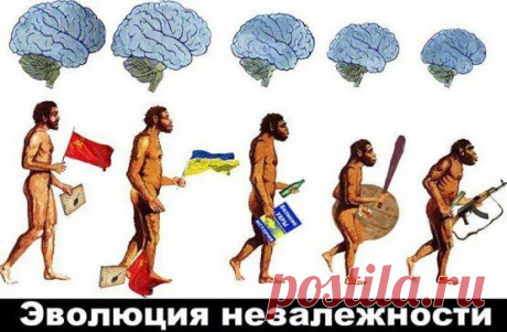Одноклассники