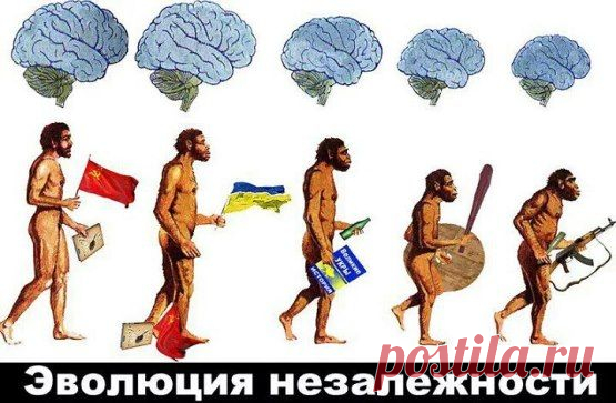 Одноклассники
