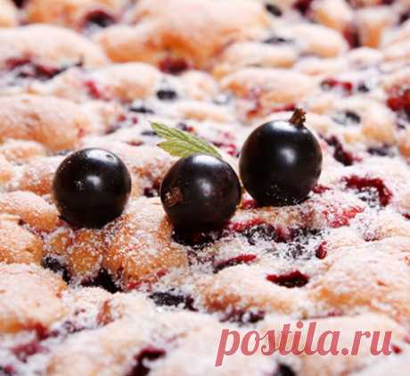 Шарлотка со смородиной - Рецепты