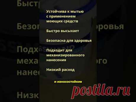 Краска от knauf! Новинка 2024! #ошибкиремонта #ремонтквартир #knauf #краскадлястен #малярныеработы