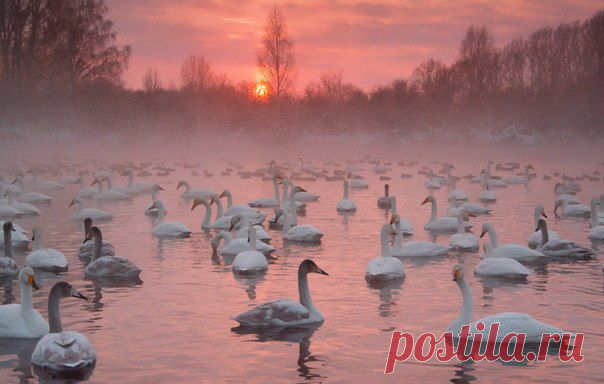Клуб National Geographic Россия
