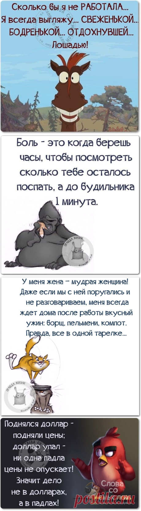 Пост метких фраз в «словах со смыслом»