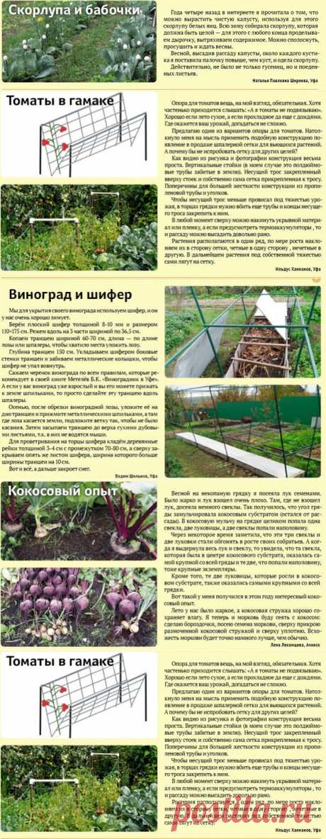 Советы садоводам-огородникам.Проверены практикой..