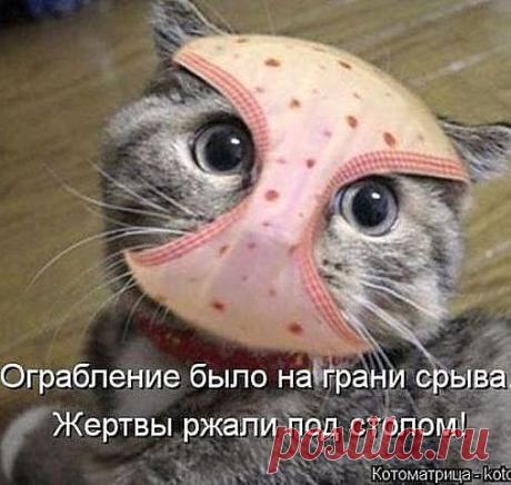 позитив