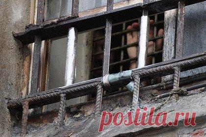 Раскрыты подробности об обвиняемой в аферах экс-чиновнице