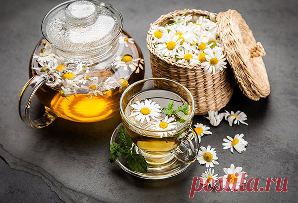 ИЗ РОМАШКИ ЧАЙ — БОЛЕЗНЯМ СПУСКУ НЕ ДАВАЙ! ЧИСТИТ ПЕЧЕНЬ, СНИЖАЕТ ХОЛЕСТЕРИН И ДАЖЕ САХАР В КРОВИ! — Домашние