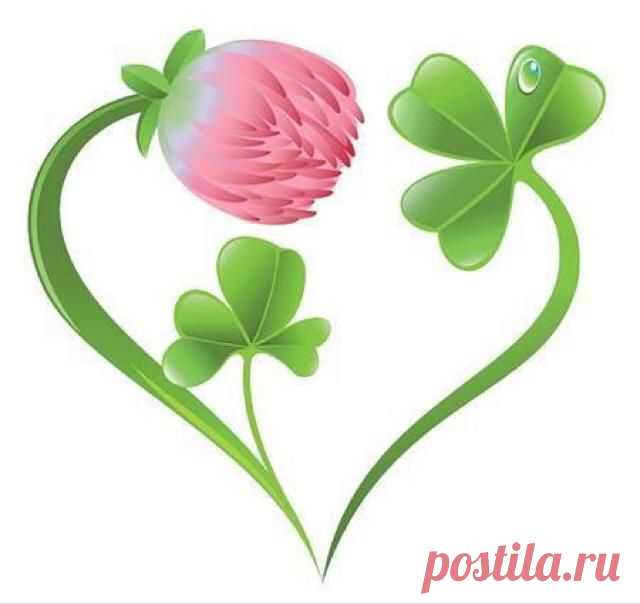 (4) Facebook