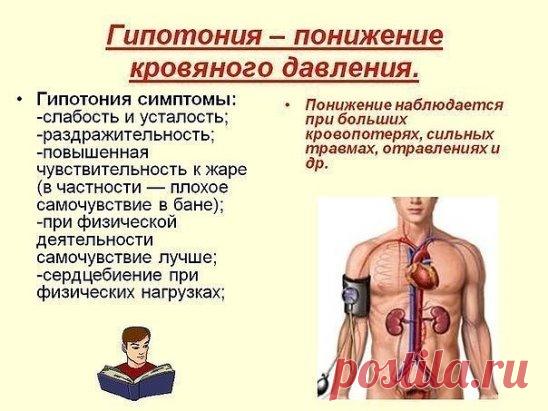НИЗКОЕ ДАВЛЕНИЕ. СОВЕТЫ НА КАЖДЫЙ ДЕНЬ.
- Гипотоники очень любят поспать. И если в среднем человеку необходимо 6-8 часов сна, то тем, у кого давление «в минус» 9-12 часов - в самый раз. Их часто называют «сони, лентяи», а на самом деле долго спать и «лениться» по утрам - физиологическая потребность их организма.
Вот несколько простых, но важных рекомендаций, которые помогут ощущать себя комфортней и бодрее уже с утра: никогда не вставайте резко;
после пробуждения полежите еще несколько минут,
