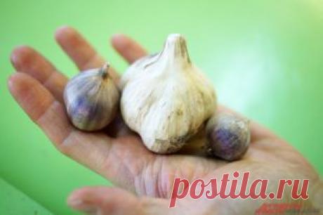 Как лечить кашель? | Здоровая жизнь | Здоровье | Аргументы и Факты