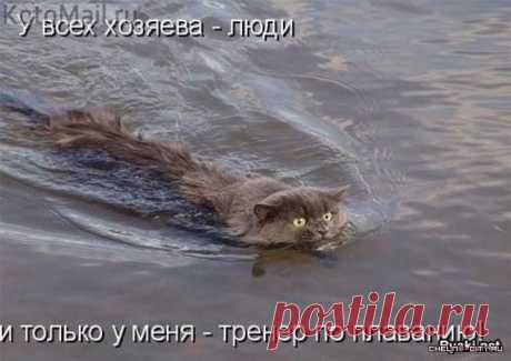 Забавные животные