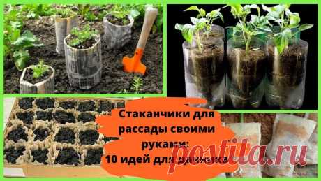 Стаканчики для рассады своими руками - 10 идей для дачника Стаканчики для рассады, кассеты, торфяные горшочки и таблетки – в садовых магазинах полки ломятся от всевозможных емкостей для выращивания рассады. Однако мн...