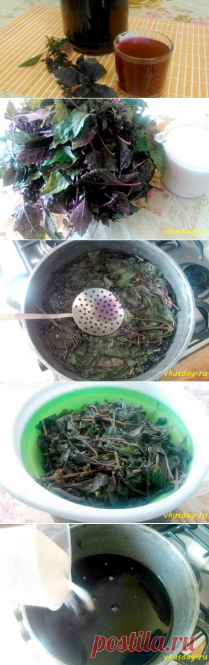 Напиток из листьев базилика | Вкусный день