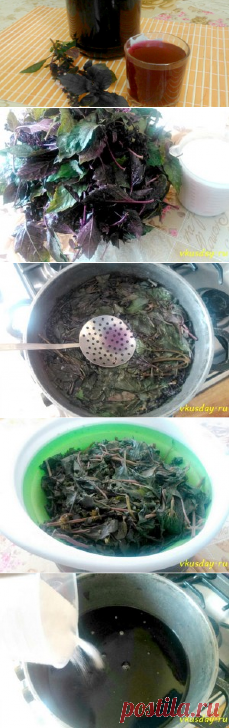 Напиток из листьев базилика | Вкусный день