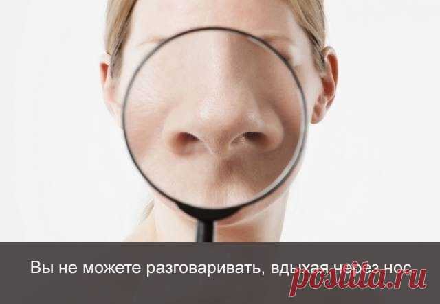 Интересные факты о чувствах и поведении / Научный хит