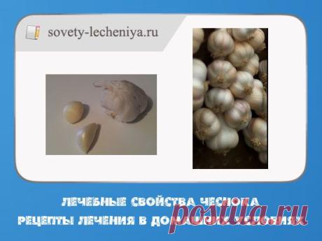 Лечебные свойства чеснока, рецепты лечения в домашних условиях