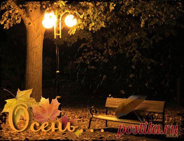 ЗОЛОТАЯ ОСЕНЬ. | Фотографии Olga Ott | 7497 фото