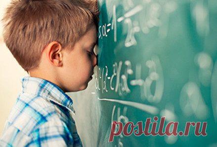 Простой способ повысить успеваемость школьника / Малютка