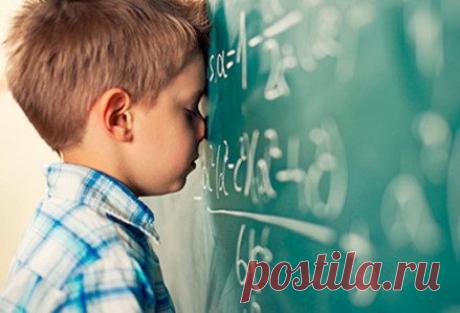 Простой способ повысить успеваемость школьника / Малютка