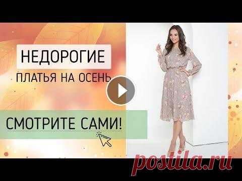 НЕДОРОГИЕ ОСЕННИЕ ПЛАТЬЯ. Платья на осень 2021 Стильные платья на осень. Трикотажные платья на осень 2021 Мода на осень 2021. Платья осень-зима 2021 Нарядные платья на осень. Шифоновые платья на ос...