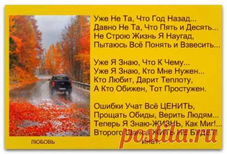 Стихи