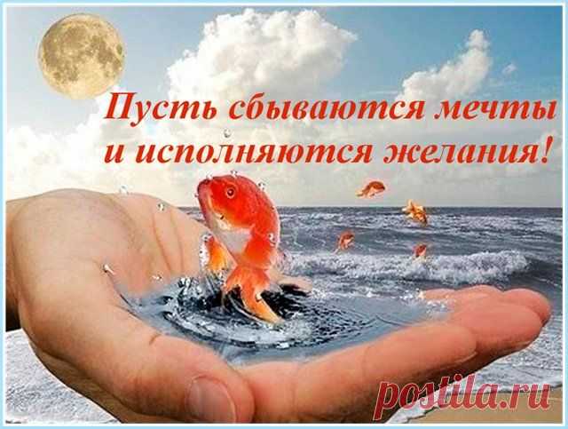 ИНОПЛАНЕТНЫЕ ЦИВИЛИЗАЦИИ АТЛАНТИДЫ. : СОСТОЯНИЕ БИОСФЕРЫ ЗЕМЛИ В АВГУСТЕ: РОСТ ЭНЕРГЕТИЧЕСКОГО НАПРЯЖЕНИЯ! АЛЕКСАНДР ЗАРАЕВ.