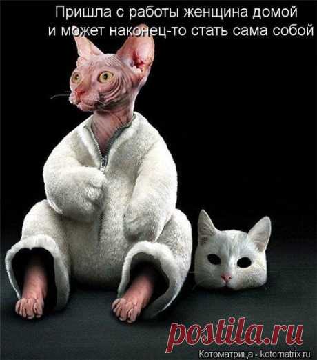 юмор | Записи в рубрике юмор | Дневник buksiha