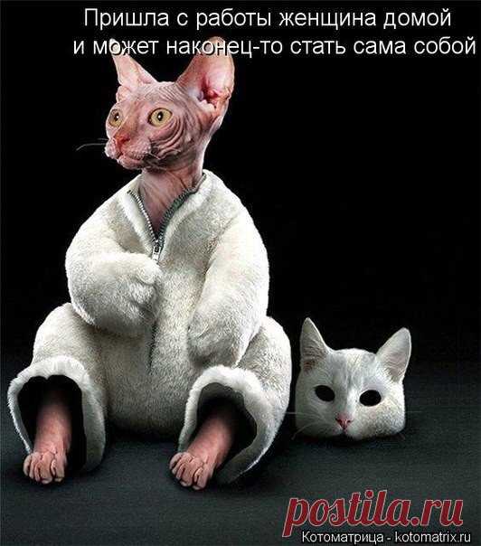 юмор | Записи в рубрике юмор | Дневник buksiha