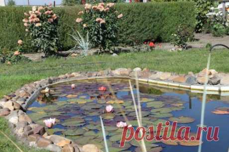 Как сделать искусственный пруд. Автор Петр Кусков. | Урожайная дача