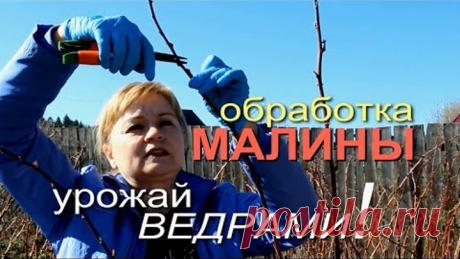 (71) Одноклассники