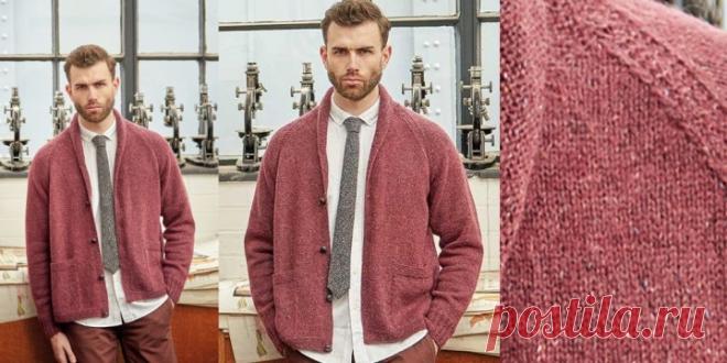 Mens Raglan Cardigan with Knitting Needles Free Pattern