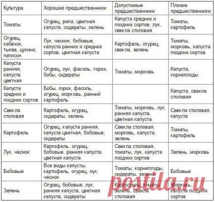 Таблица чередования посевов овощей в огороде 
Из севооборота овощей можно извлечь выгоду. Это и защита растений от вредителей и болезней, и сохранение плодородия почвы. Но недостаточно просто менять овощи местами от сезона к сезону, нужно учитывать, какие предшественники наиболее полезны для каждой овощной культуры. 
При севообороте соблюдаем правило: не сеять одну и ту же культуру второй год на старое место. Это относится и к представителям одного и того же семейства культур. Так, например, н