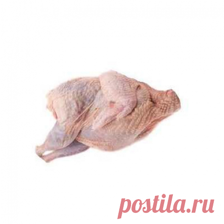 Мясо голубей в кулинарии - особенности приготовления, полезные свойства и сорта