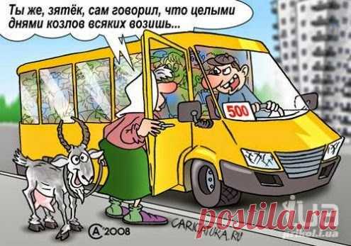 Во дворике у подъезда на лавочке сидят бабульки... 
Во дворике у подъезда на лавочке сидят бабульки.Тут к подъезду подруливает крутой джип, выходит из него новый русский, видит бабулек и начинает наезжать:— Чего расселись, старые кошелки, у моего подъ…